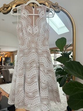 Dress the Population White Lace Midi Dress with Nude Underlay